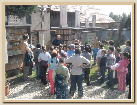 latogato00012